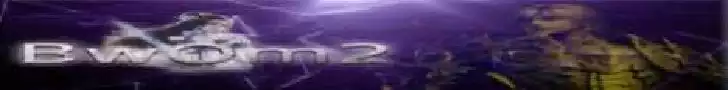 BattleWoM2